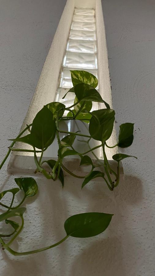 Locanda Le Ginestre Cantalupo in Sabina Zewnętrze zdjęcie